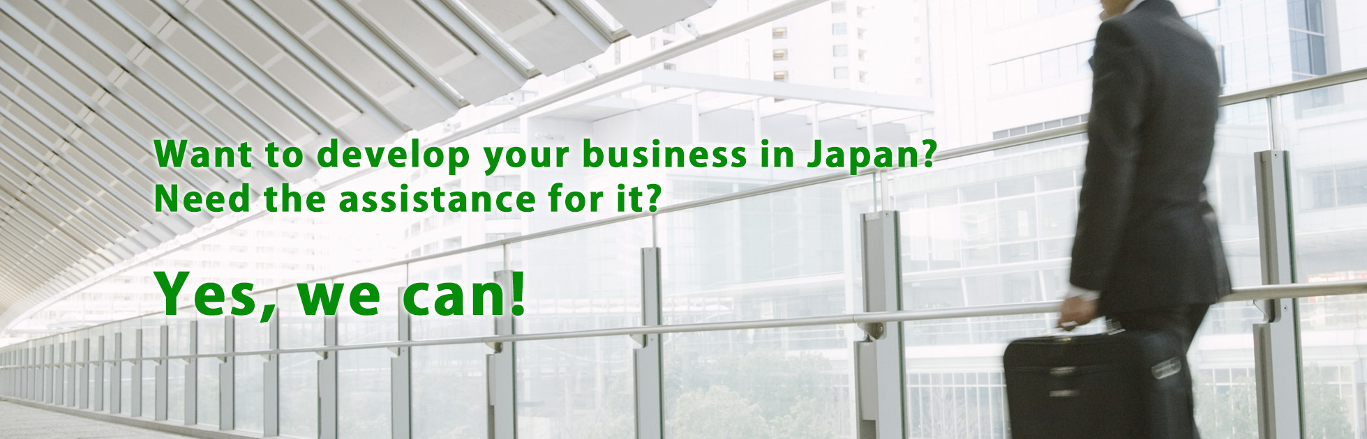 Want to develop your buisiness in Japan? Yes, we can!